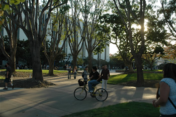 Cal State Fullerton Campus